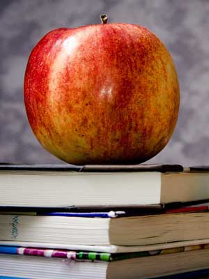 云呼电话轰炸机网页版