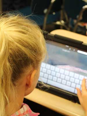 在线手机号轰炸网页版